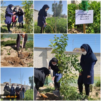 گرامی داشت روز درختکاری در دانشگاه فرهنگیان بهبهان 