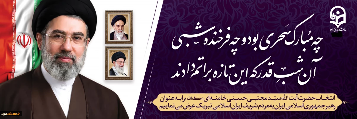 سید مجتبی حسینی خامنه ای